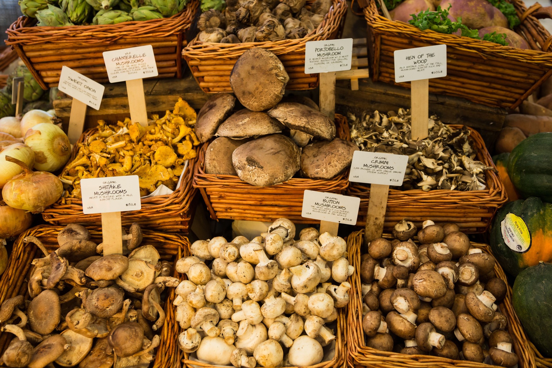 Organic Fresh Mushrooms in Market, New York City